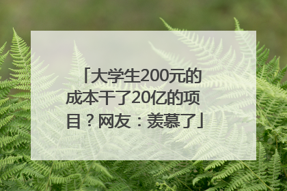 大学生200元的成本干了20亿的项目？网友：羡慕了